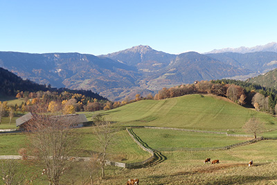 Talblick