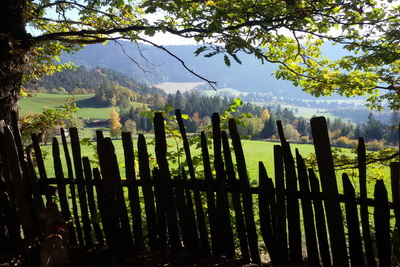 Fotoalbum vom Pitterlehof