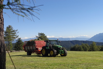 Fotoalbum vom Pitterlehof