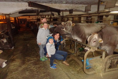 Fotoalbum vom Pitterlehof