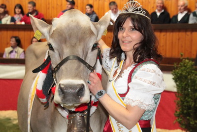 Fotoalbum vom Pitterlehof