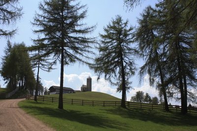 Fotoalbum vom Pitterlehof