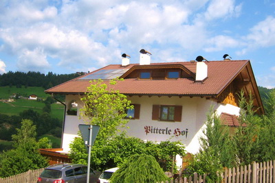 Fotoalbum vom Pitterlehof
