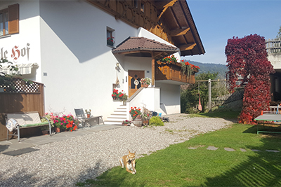 Tiere am Pitterlehof