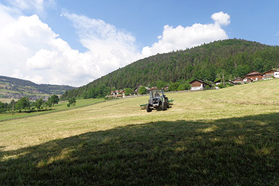 Pitterlehof