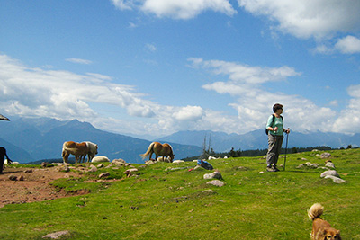 Wandern