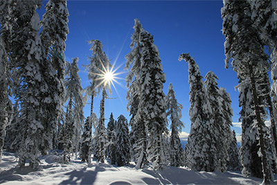 Winterwandern