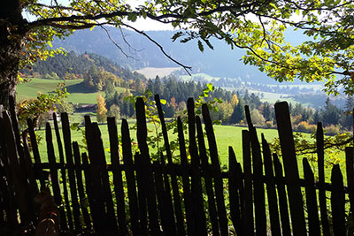 Wandern