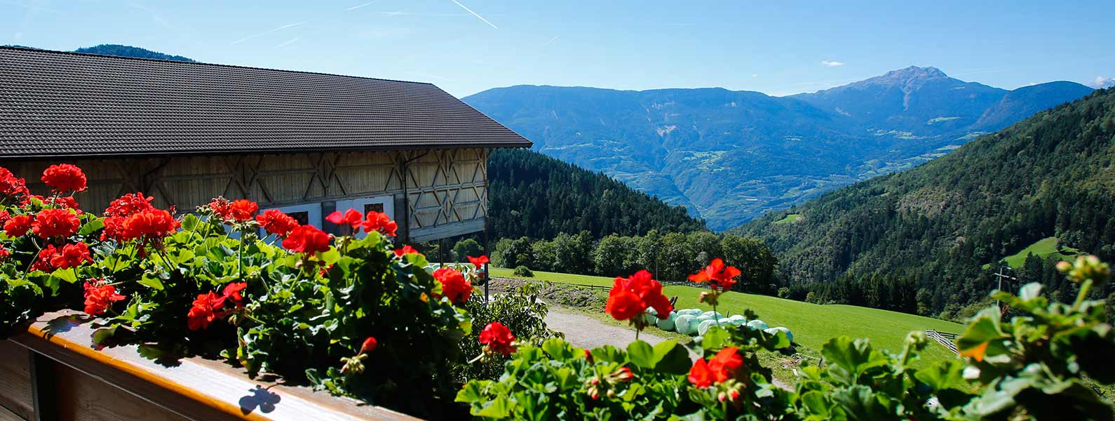 Pitterlehof