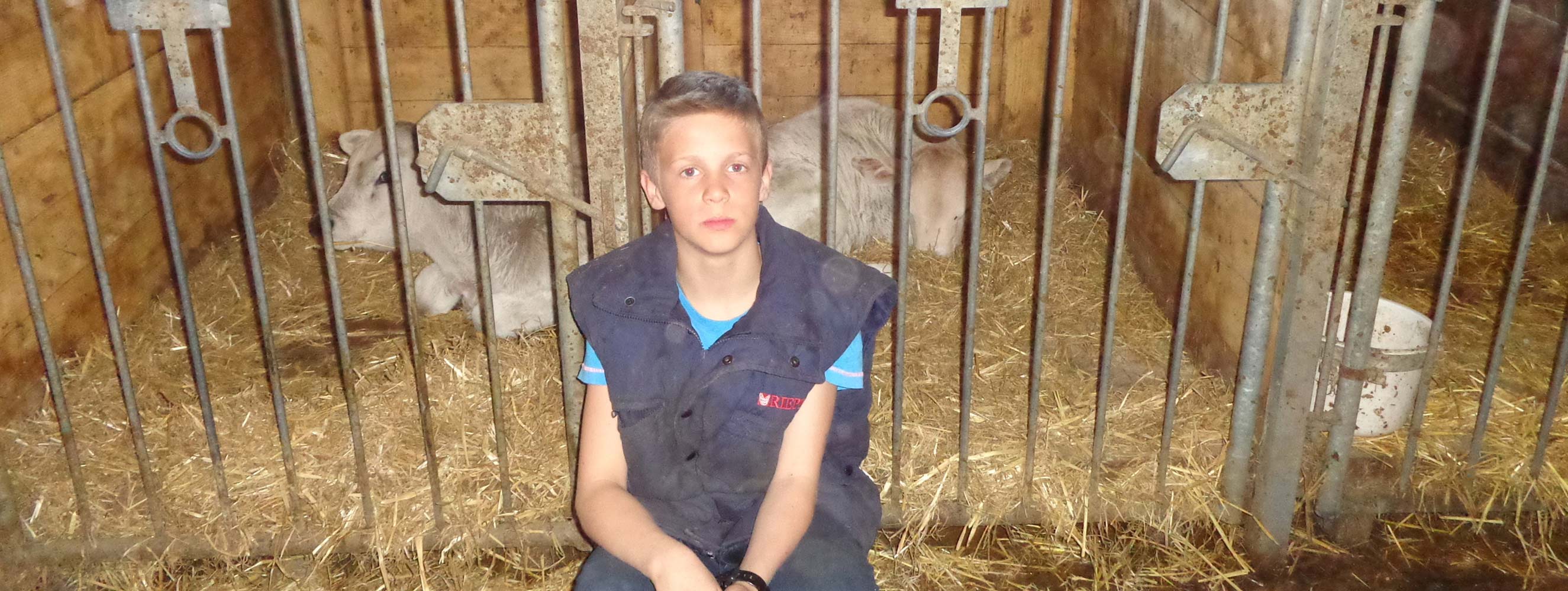 Tiere am Pitterlehof